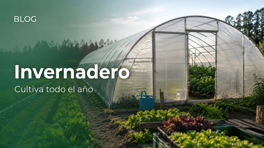 ¿Por qué instalar un invernadero?