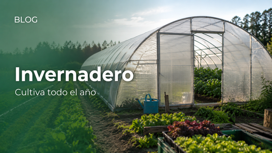 ¿Por qué instalar un invernadero?