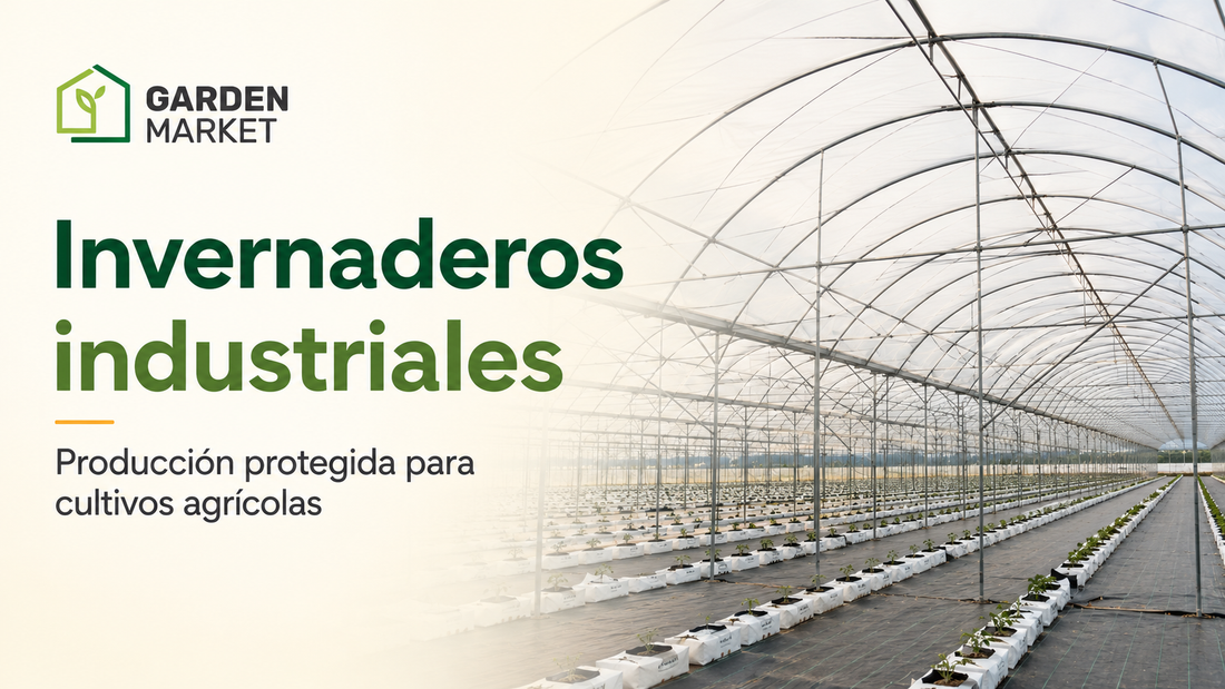 Invernaderos industriales: protección y eficiencia para cultivos agrícolas