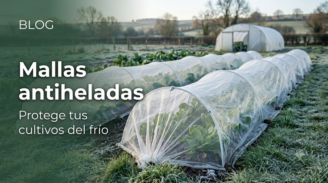 ¿Cómo daña el frío a tus plantas?