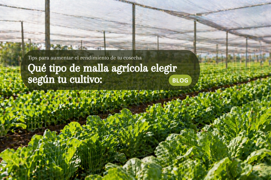 Qué tipo de malla agrícola elegir según tu cultivo.