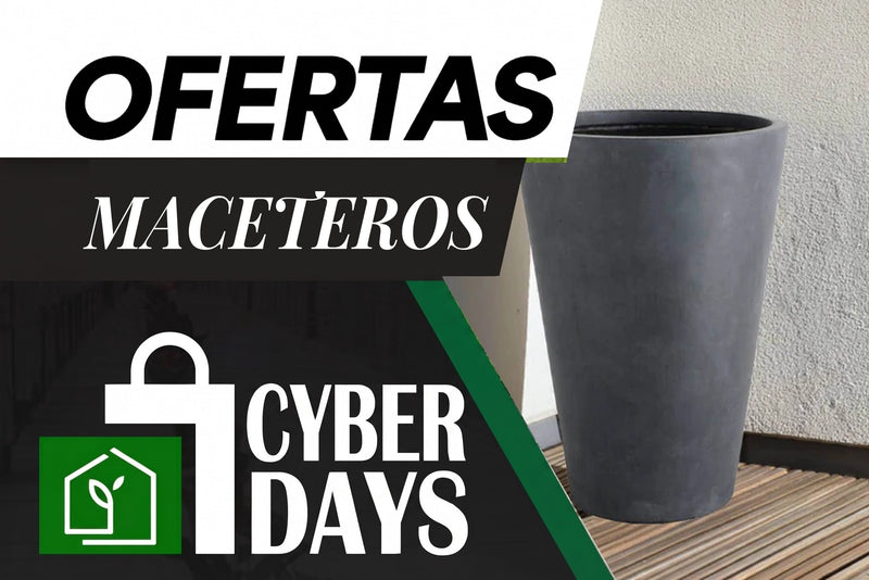 Cyber Maceteros