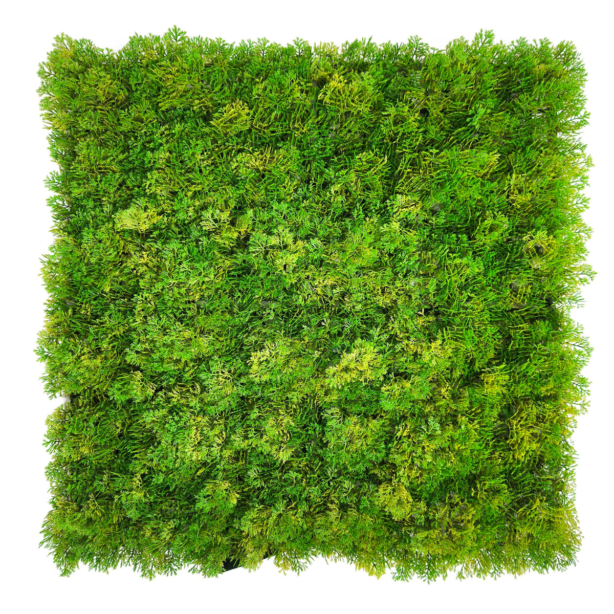 Jardin Vertical  Hemu 50 x 50 cm
