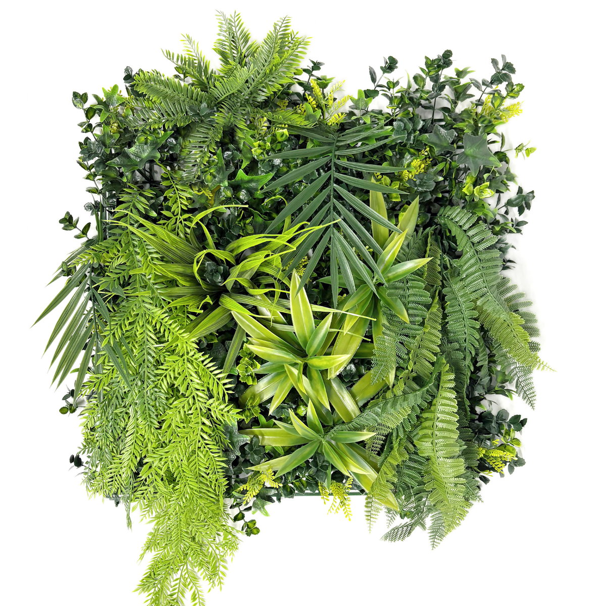 Jardin Vertical Altay 50 x 50 cm