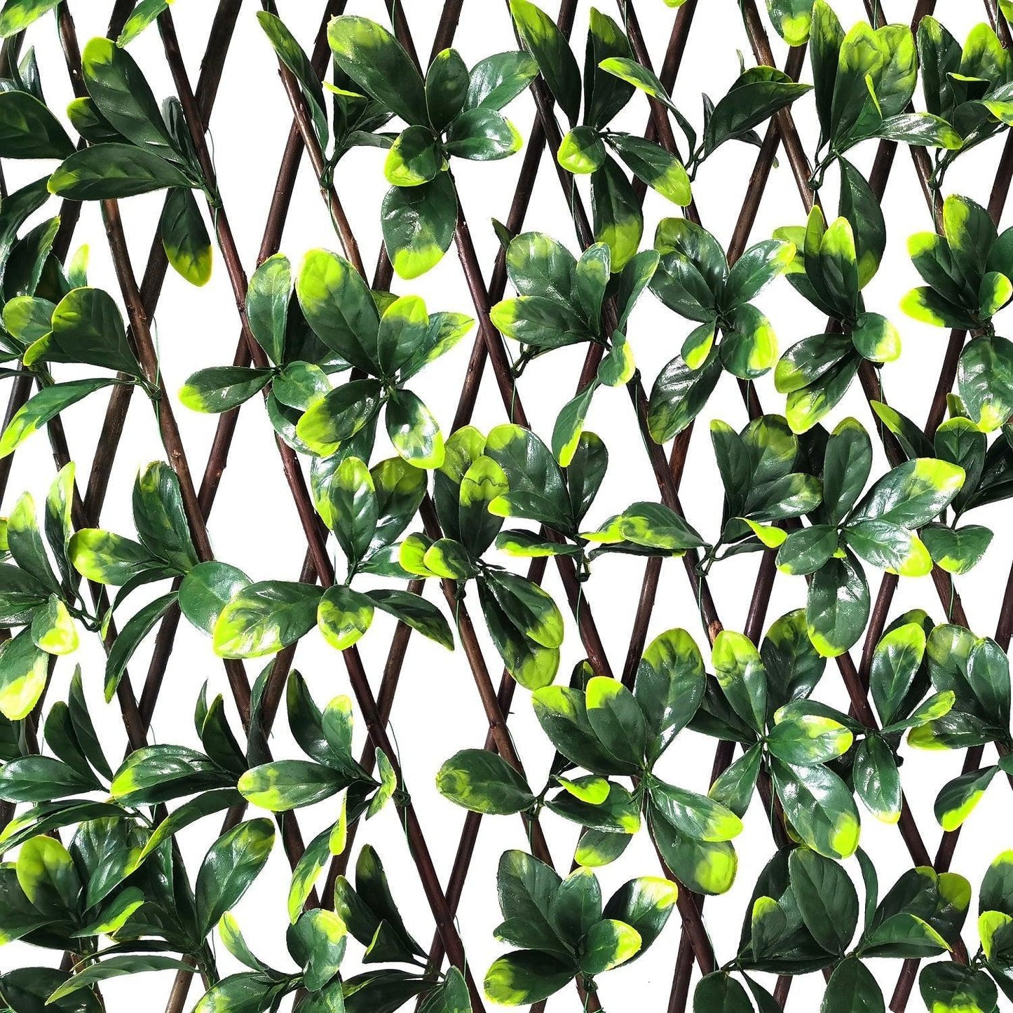 Valla Artificial Pared Willow Garden Market Garden Market