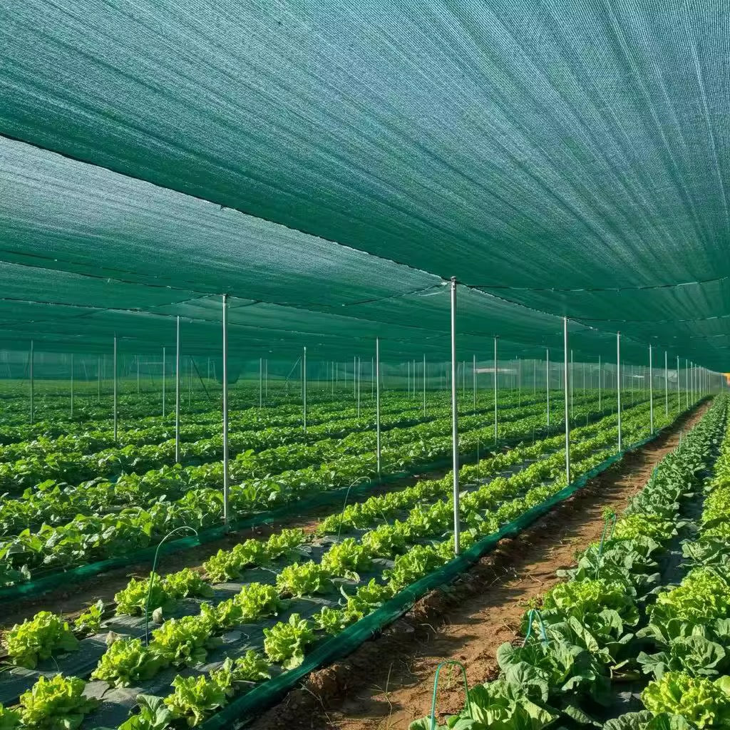 Malla Raschel 65% sombra, Verde - 4,2x100m