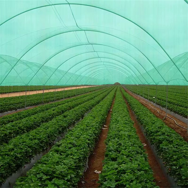 Malla Raschel 65% sombra, Verde - 4,2x100m