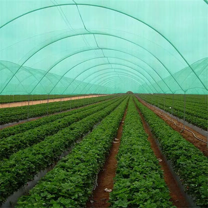 Malla Raschel 65% sombra, Verde - 4,2x100m