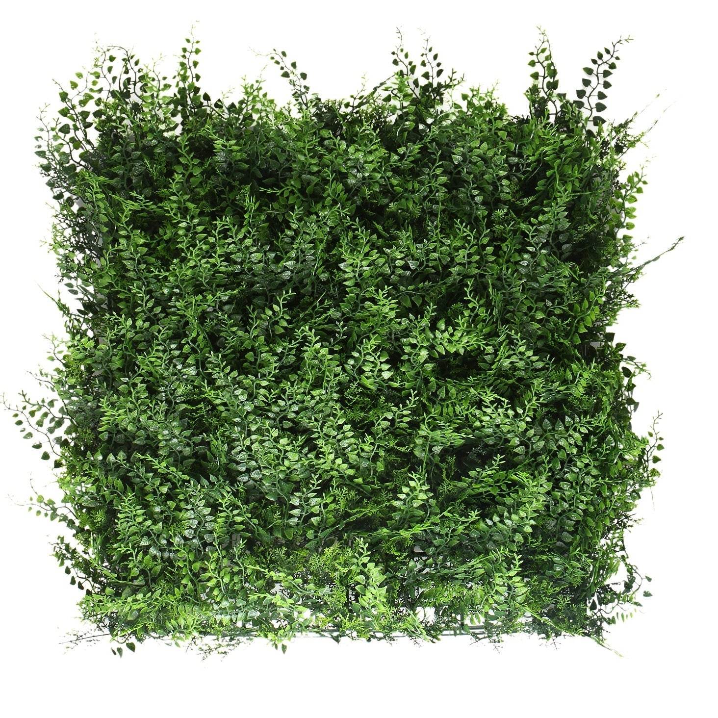 Jardín Vertical Helecho 50x50 cm-Jardín Vertical-HBFA23-Cyber Jardín Vertical,Jardin Vertical,Oferta-Garden Market