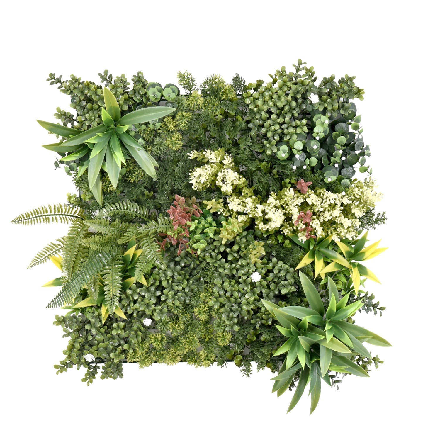 Jardín Vertical Rhea A 50x50 cm-Jardín Vertical-HBFA25_A-Jardin Vertical-Garden Market