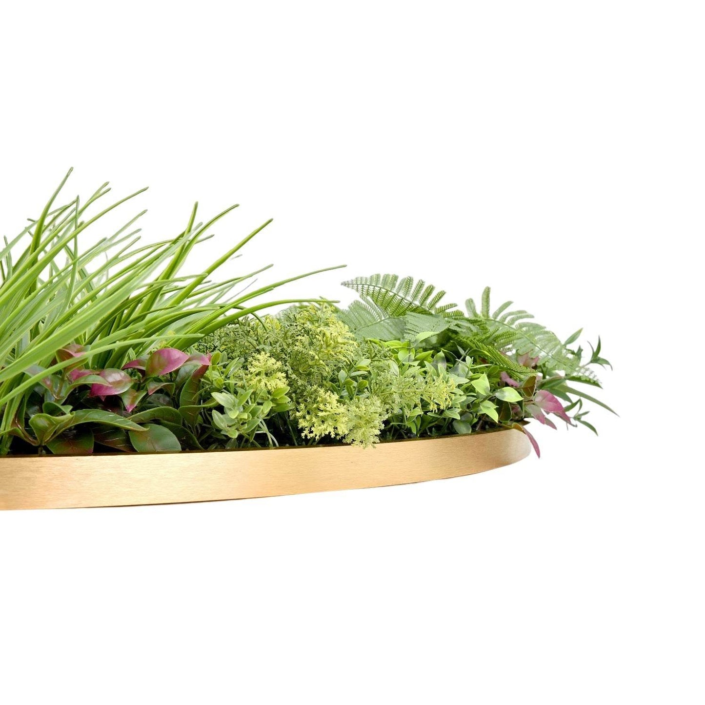 Jardín Vertical Valhalla 100x100 cm-Decorativos-HBFA22-Cyber Jardín Vertical,Jardin Vertical,Oferta-Garden Market