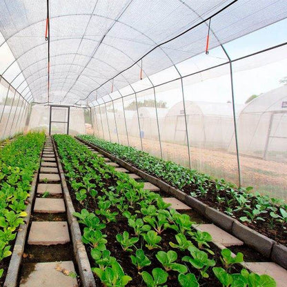 Malla Antiáfido 50 Mesh 125g 5x100 Metros-Malla Antiáfido-HBCN02X-Mallas Agricolas-Garden Market