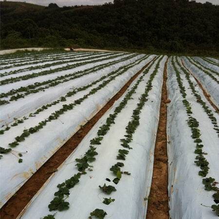 Mulch Bicolor Negro-Blanco con UV Rollo 1,4mx1000mx25um-Mulch Bicolor-HBPA33-Mulch Agricola-Garden Market