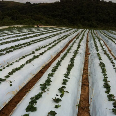 Plásticos Agricolas