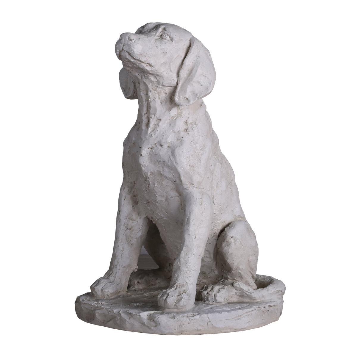 Estatua Perro