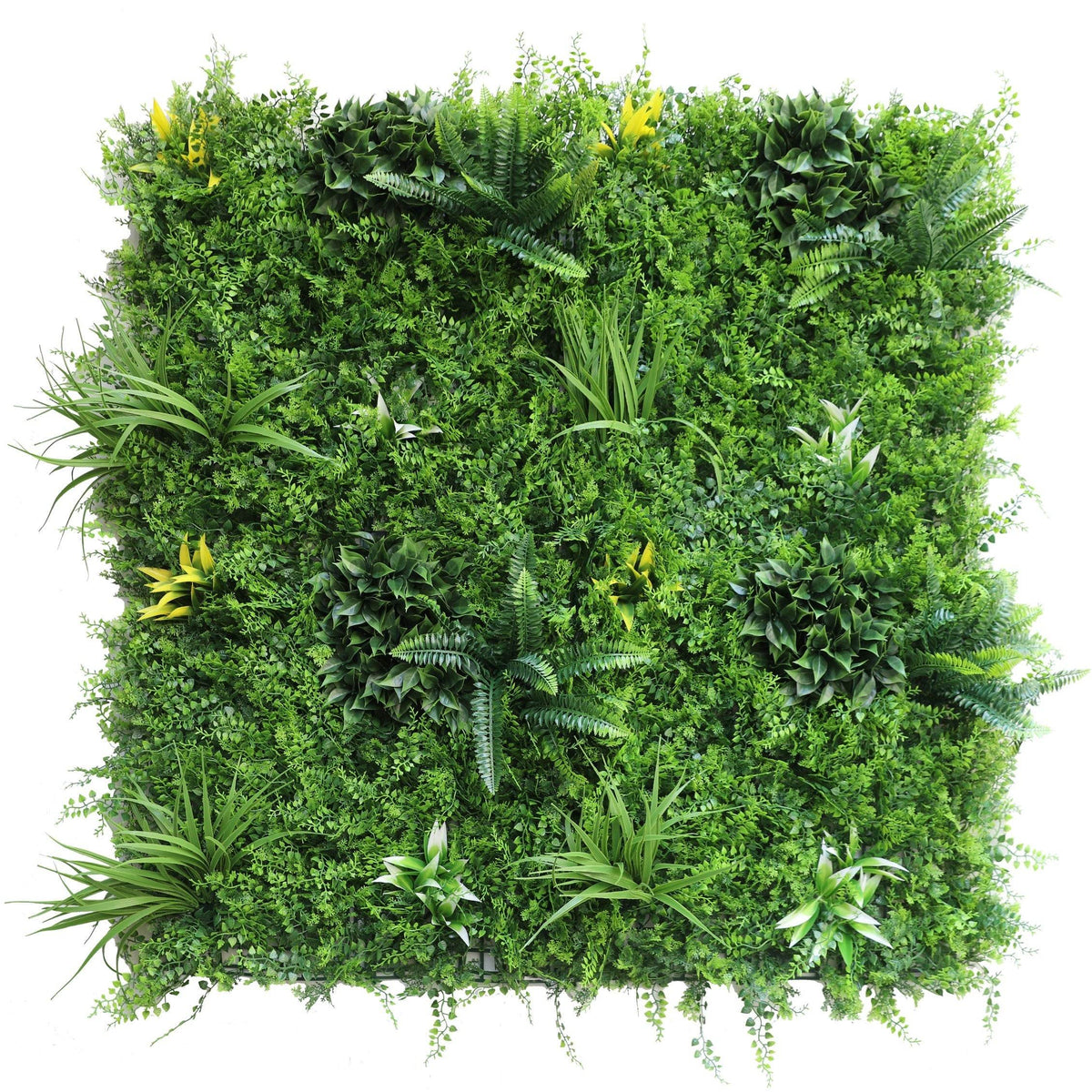 Jardín Vertical Helecho Pro 100x100 cm-Jardín Vertical-HBFA09-Cyber Jardín Vertical,Jardin Vertical,Oferta-Garden Market