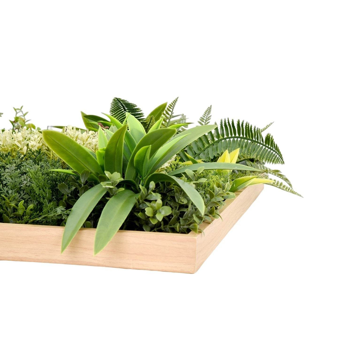 Jardín Vertical Irlanda 50x50 cm-Decorativos-HBFA21-Jardin Vertical,Oferta-Garden Market