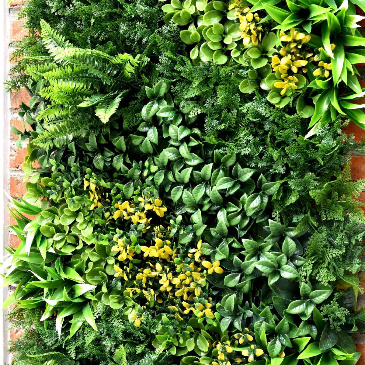 Jardín Vertical Multielemento 100x100 cm-Jardín Vertical-HBFA26-Jardin Vertical-Garden Market