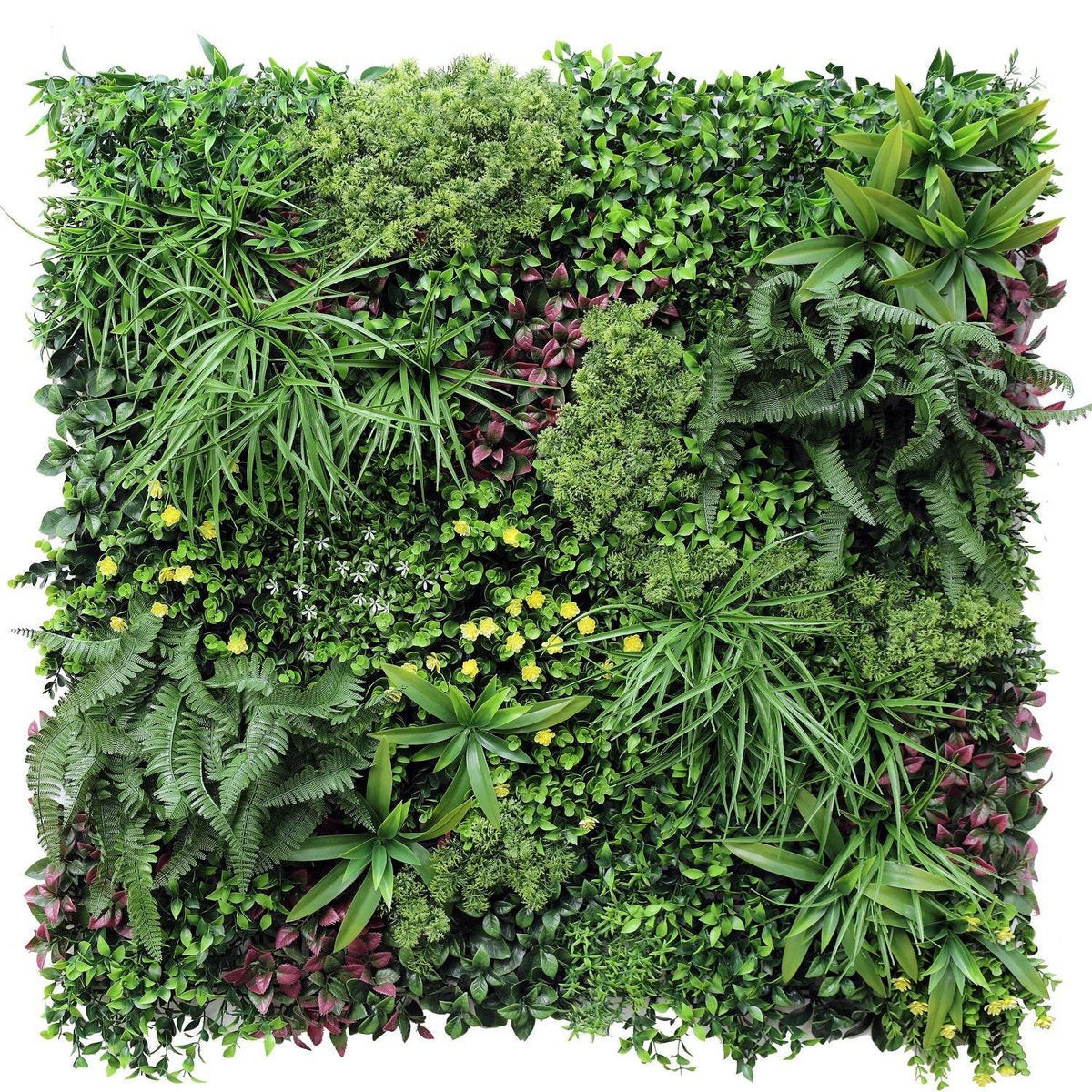 Jardín Vertical Papua 100x100 cm-Jardín Vertical-HBFA08-Cyber Jardín Vertical,Jardin Vertical-Garden Market