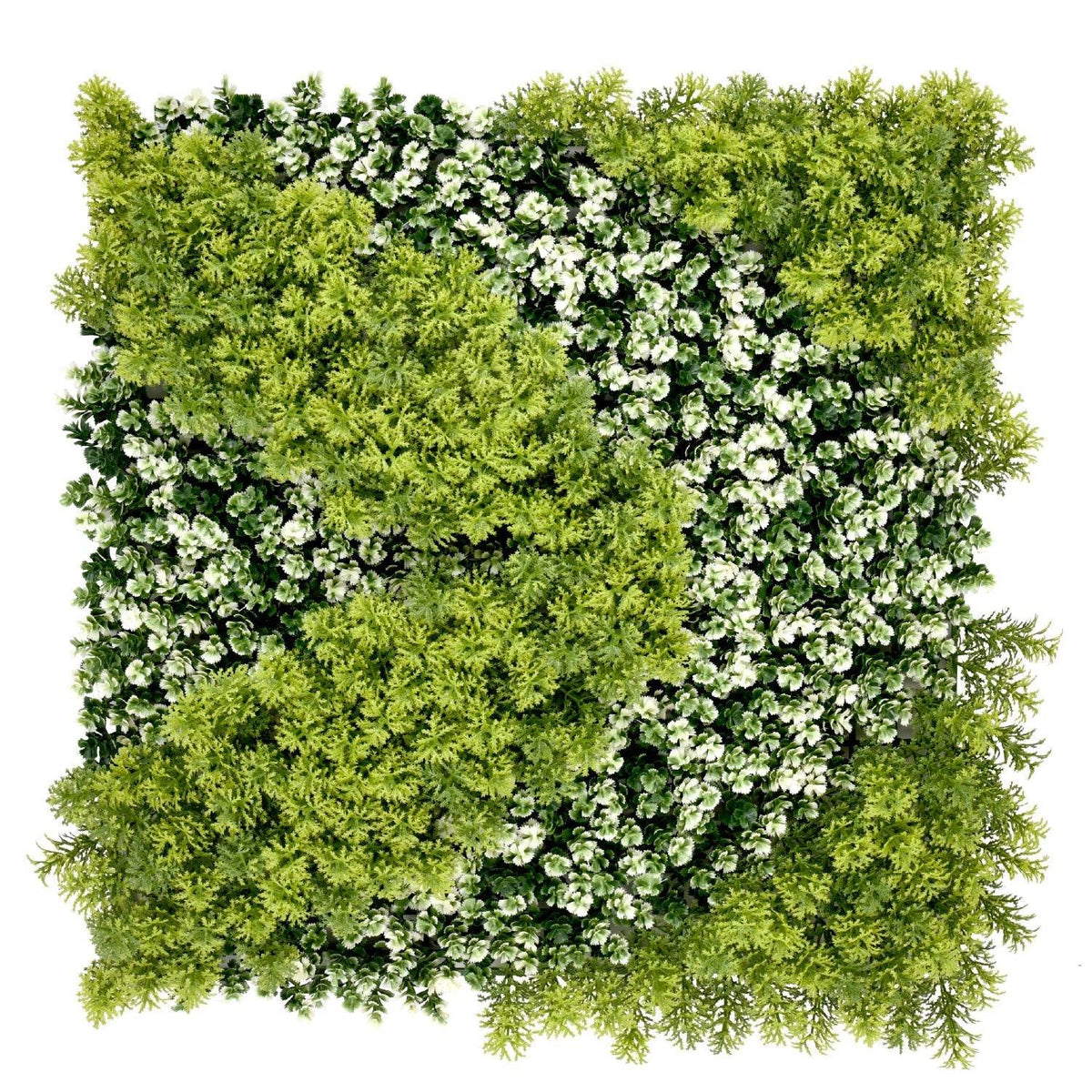 Jardín Vertical Reflexión B 50x50 cm-Jardín Vertical-HBFA24_B-Jardin Vertical-Garden Market