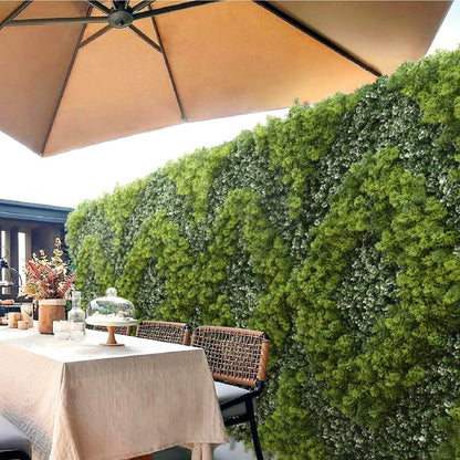 Jardín Vertical Reflexión B - Garden Market