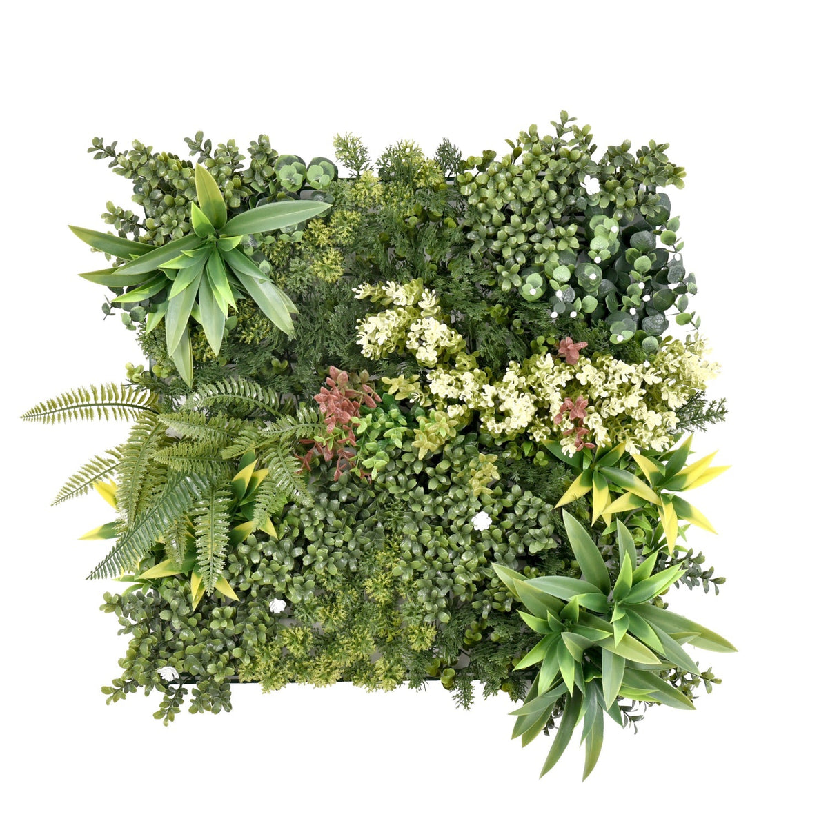 Jardín Vertical Rhea A 50x50 cm-Jardín Vertical-HBFA25_A-Jardin Vertical-Garden Market