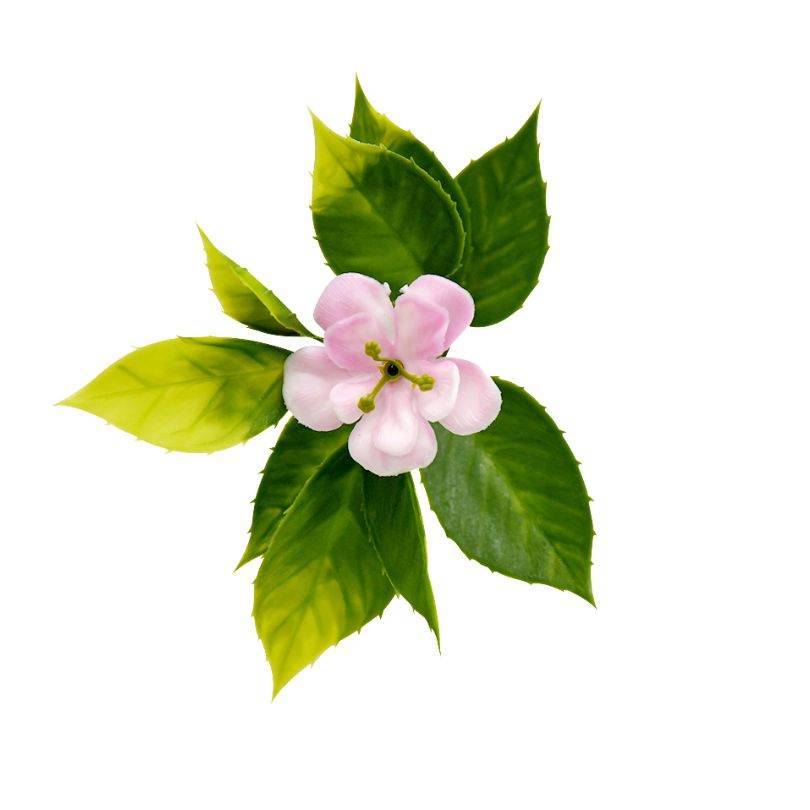 Jardín Vertical Trébol - Garden Market