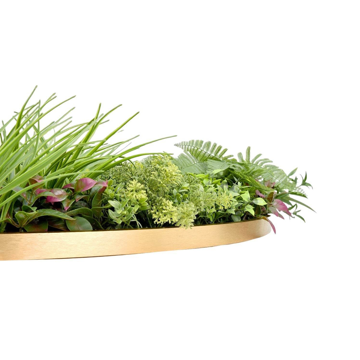 Jardín Vertical Valhalla 100x100 cm-Decorativos-HBFA22-Cyber Jardín Vertical,Jardin Vertical,Oferta-Garden Market