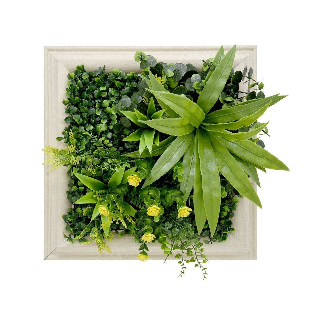 Jardín Vertical Vertiente 33x33 cm