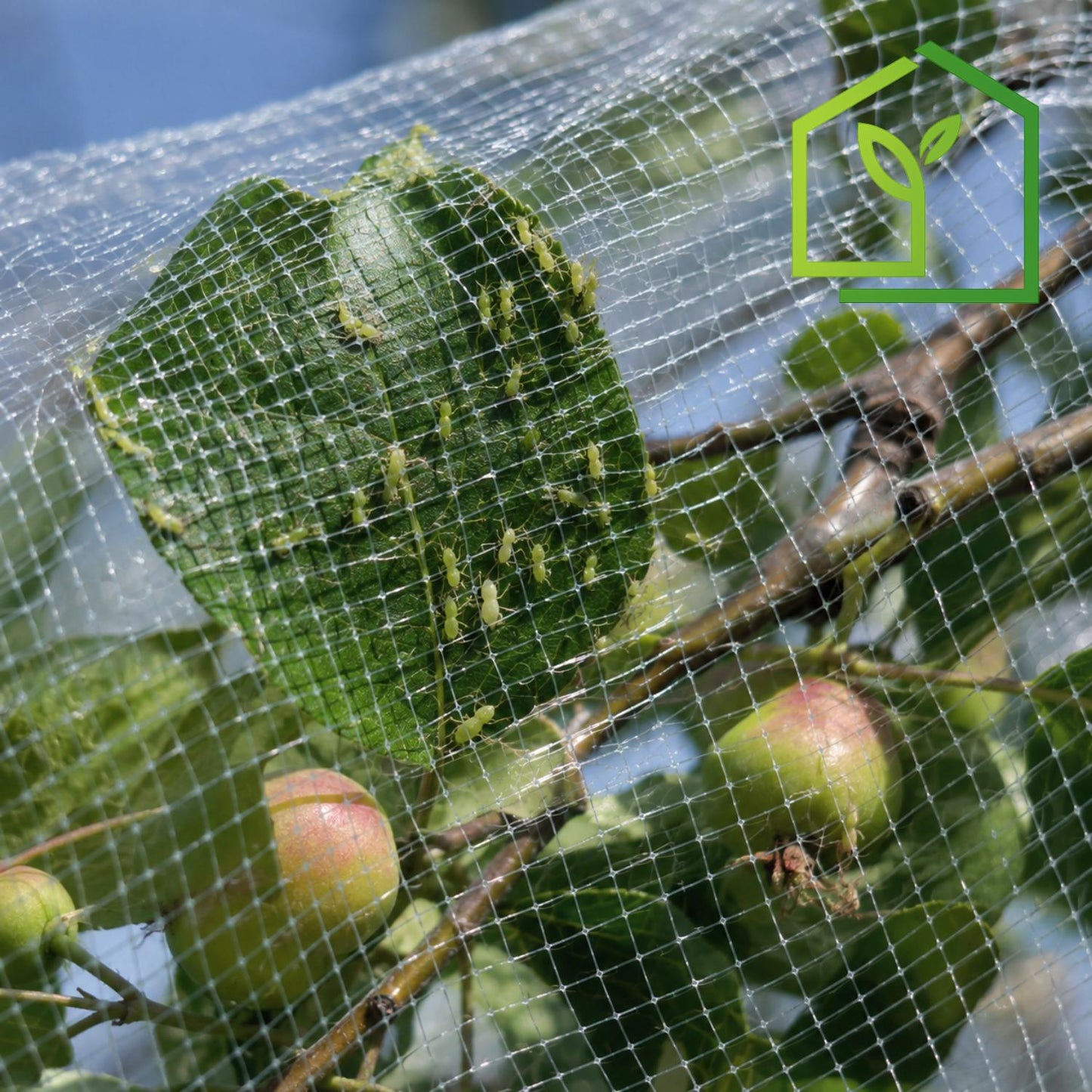 Malla Antiáfido 40 Mesh 110g 4x100 Metros-Malla Antiáfido-HBCN01X-Garden Market