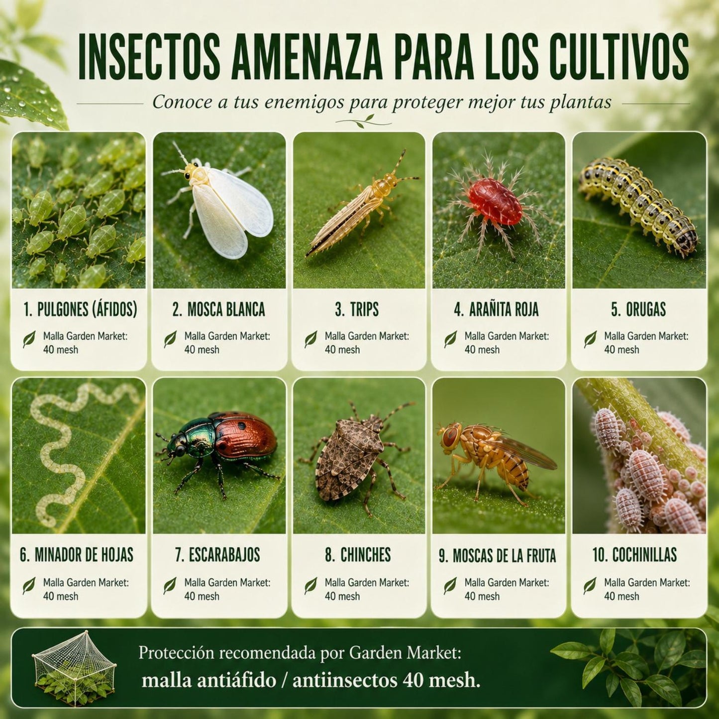 Malla Antiáfido 40 Mesh 110g 4x100 Metros-Malla Antiáfido-HBCN01X-Garden Market