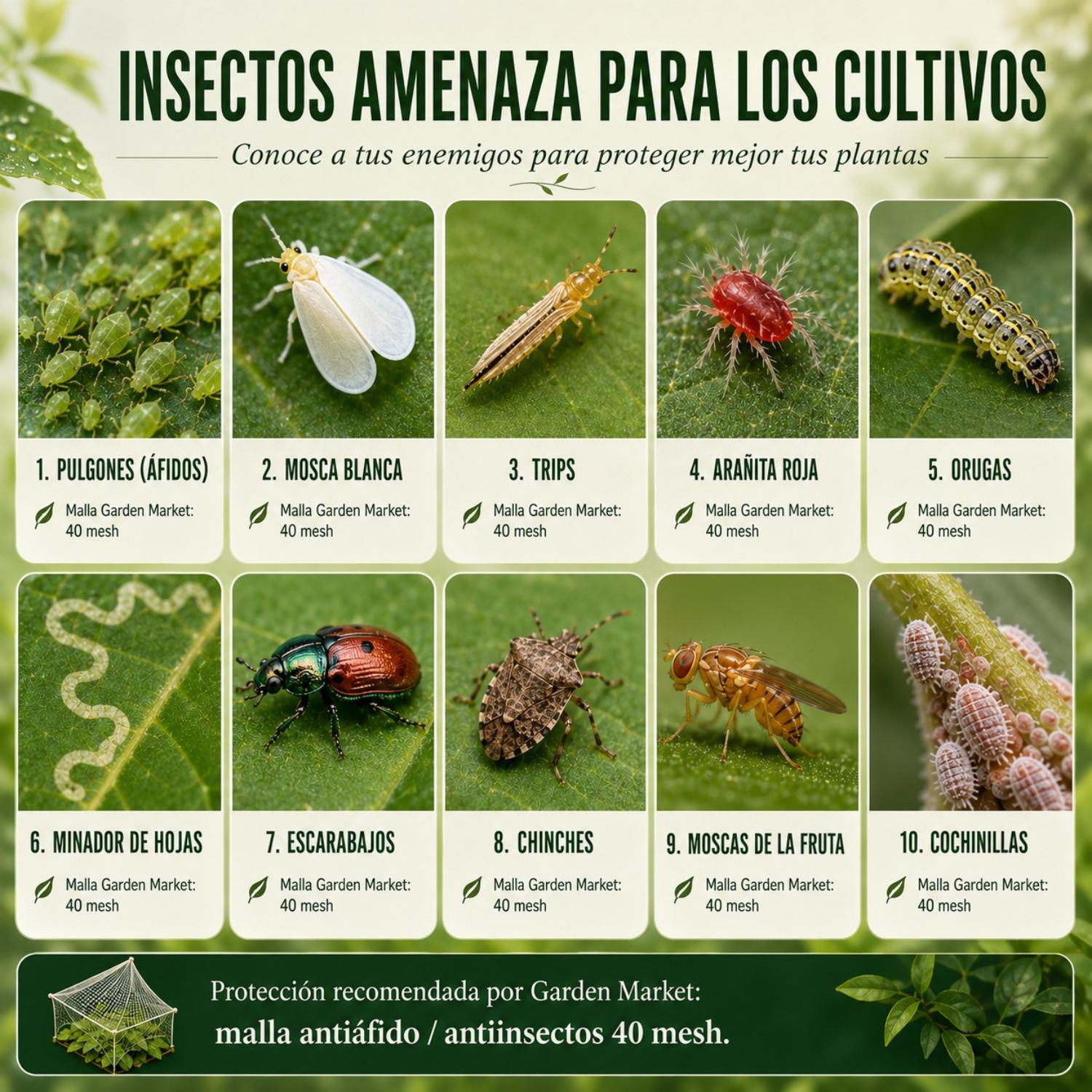Malla Antiáfido 40 Mesh 110g 4x100 Metros-Malla Antiáfido-HBCN01X-Garden Market
