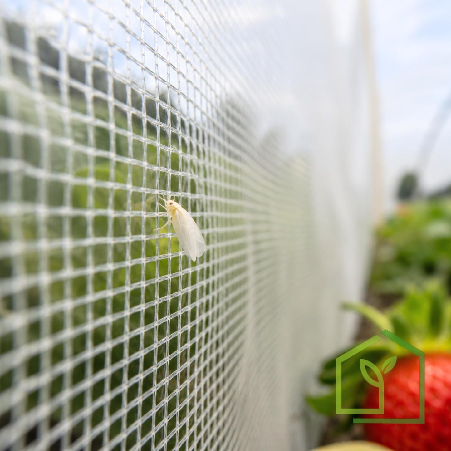 Malla Antiáfido 40 Mesh 110g 4x100 Metros-Malla Antiáfido-HBCN01X-Garden Market