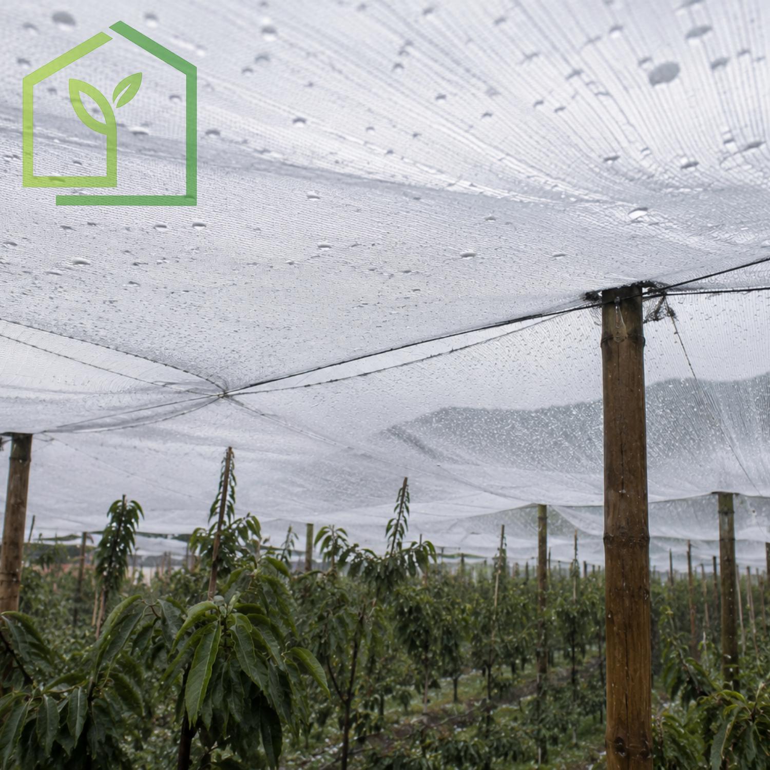 Malla Antigranizo 4x4 55g Transparente 7x100 Metros-Malla Antigranizo-HBCN06X-Garden Market