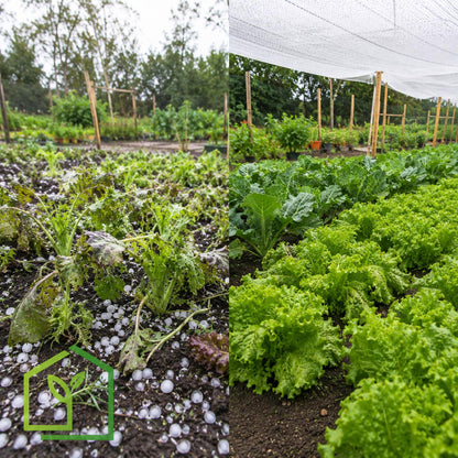 Malla Antigranizo 50g Transparente 7x100 Metros-Malla Antigranizo-HBCN03X-Garden Market