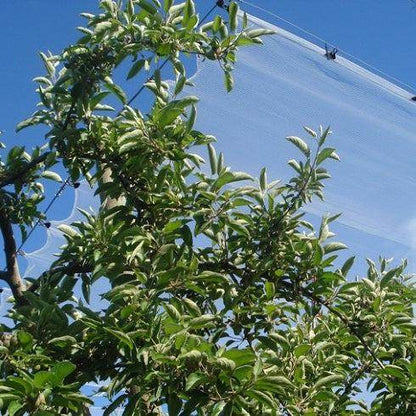 Malla Antigranizo 50g Transparente 7x100 Metros - Garden Market