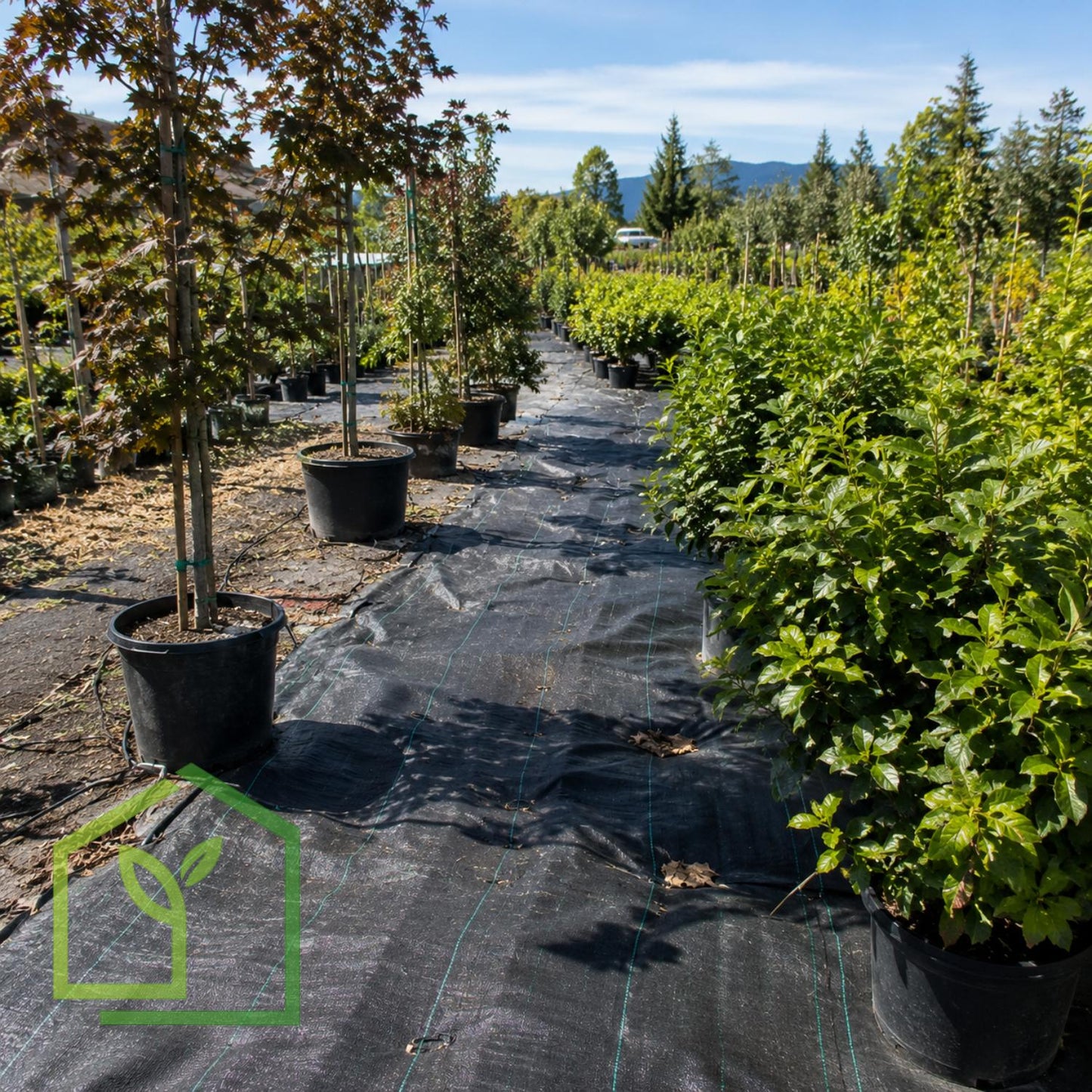 Malla Antimaleza 90 g/m² 4×100m – Rollo de Tela-Antimaleza-HBTA83-Garden Market
