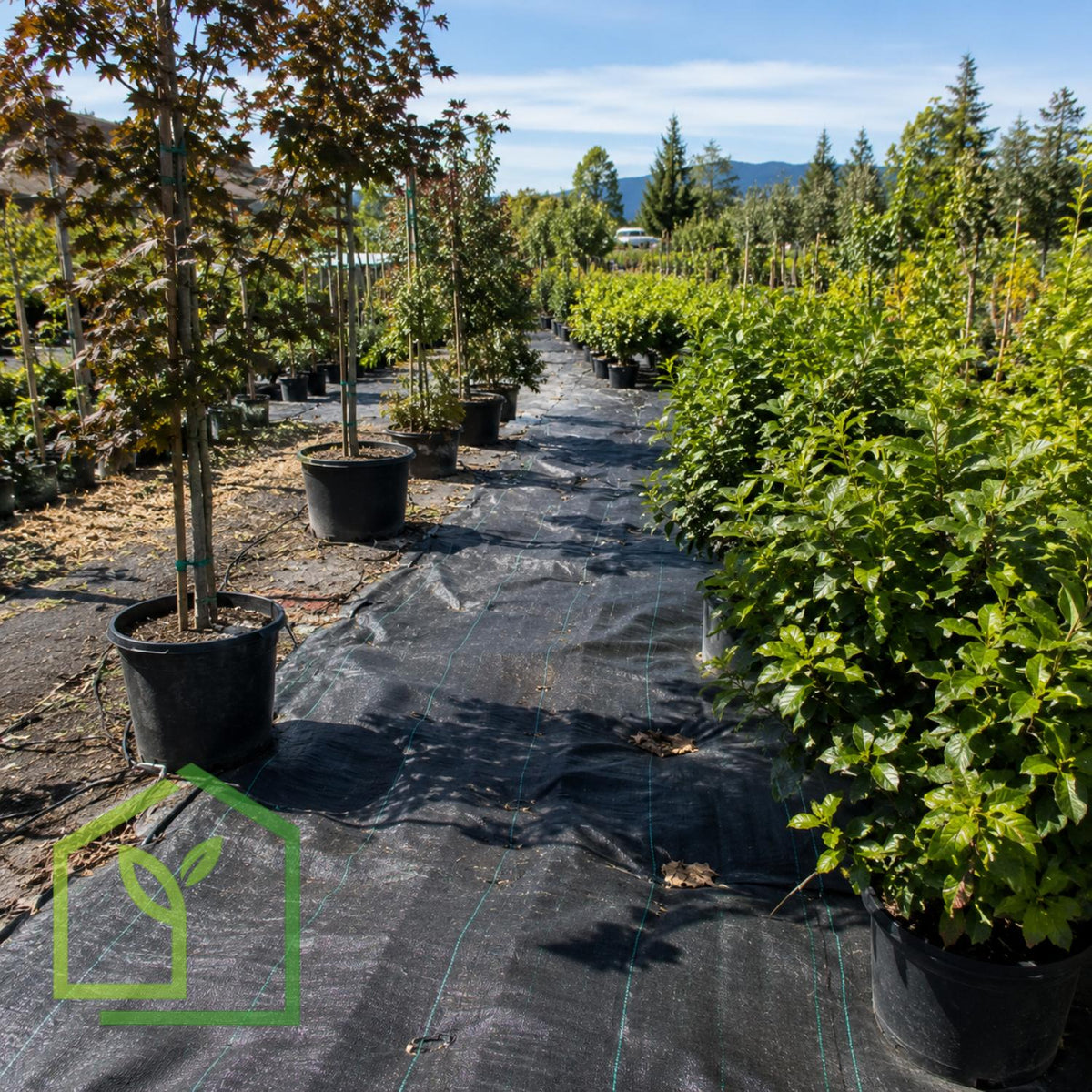 Malla Antimaleza 90 g/m² 4×100m – Rollo de Tela-Antimaleza-HBTA83-Garden Market