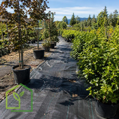 Malla Antimaleza 90 g/m² 4×100m – Rollo de Tela-Antimaleza-HBTA83-Garden Market