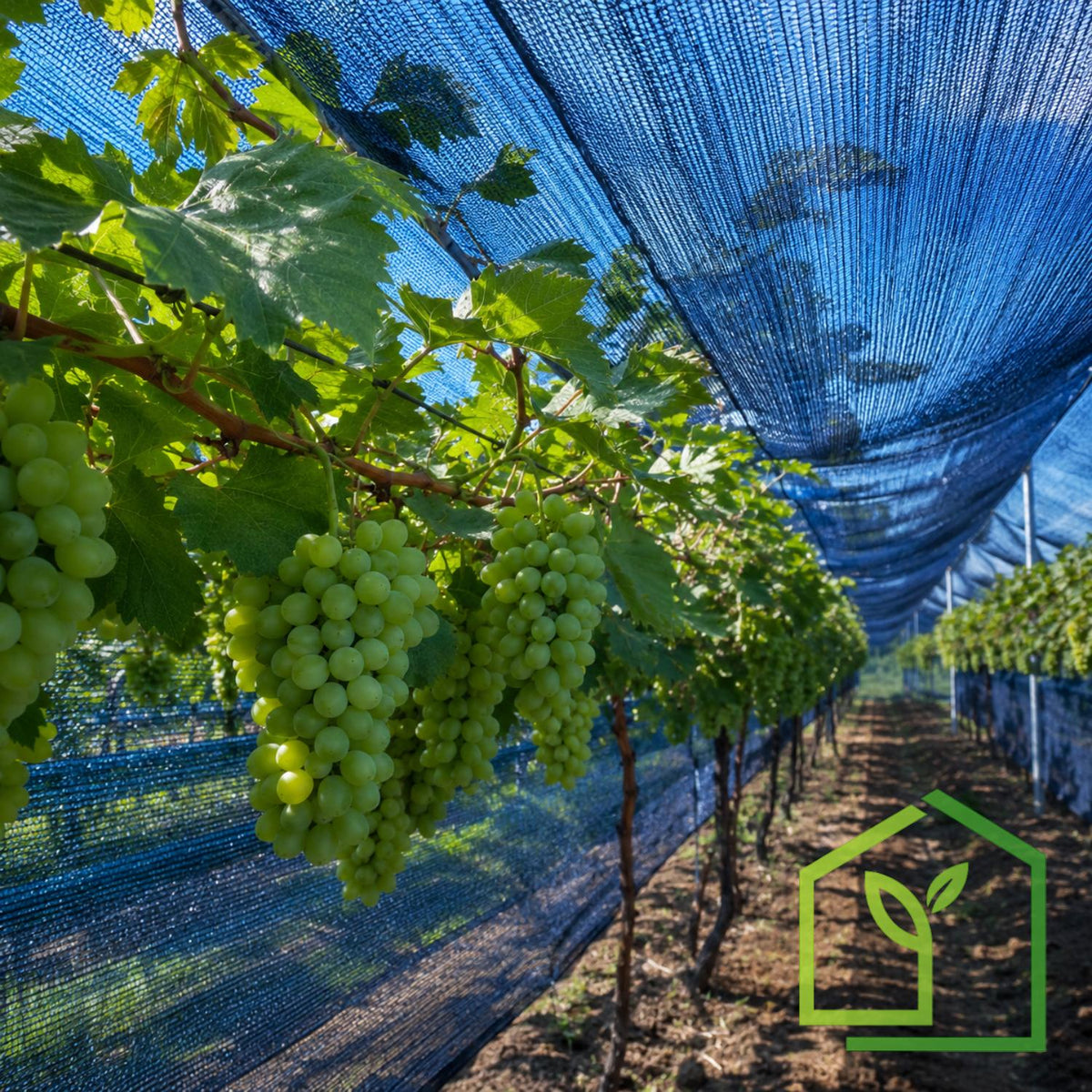 Malla Raschel 65% sombra, Azul - 2,1x100m-Mallas Raschel-GMMA07-Garden Market