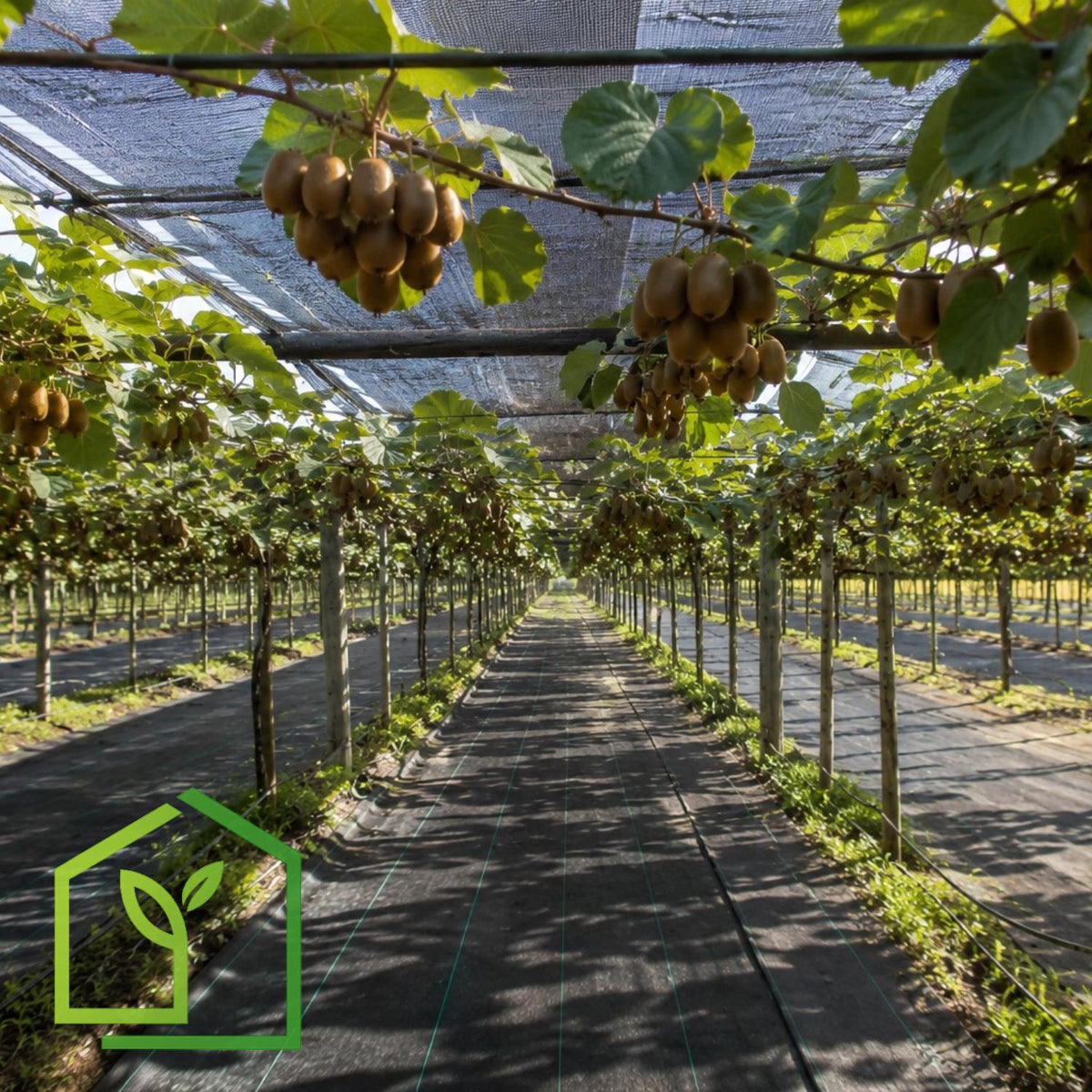 Malla Raschel 65% sombra, Negro - 4,2x100m-Mallas Raschel-HBTA05-Garden Market