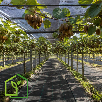 Malla Raschel 65% sombra, Negro - 4,2x100m-Mallas Raschel-HBTA05-Garden Market