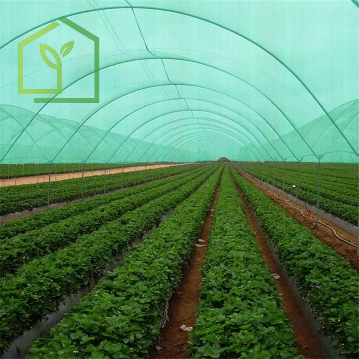 Malla Raschel 80% sombra, Verde - 4,2x100m-Mallas Raschel-HBTA03-Garden Market
