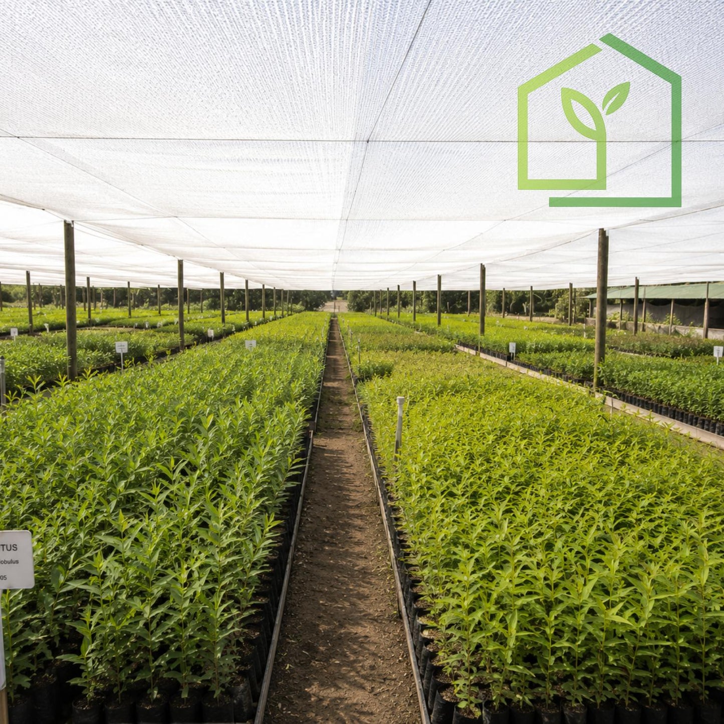 Malla Raschel 80% Filtro Sombra- Blanca - 2,1x100m-Mallas Raschel-HBTA10-Garden Market