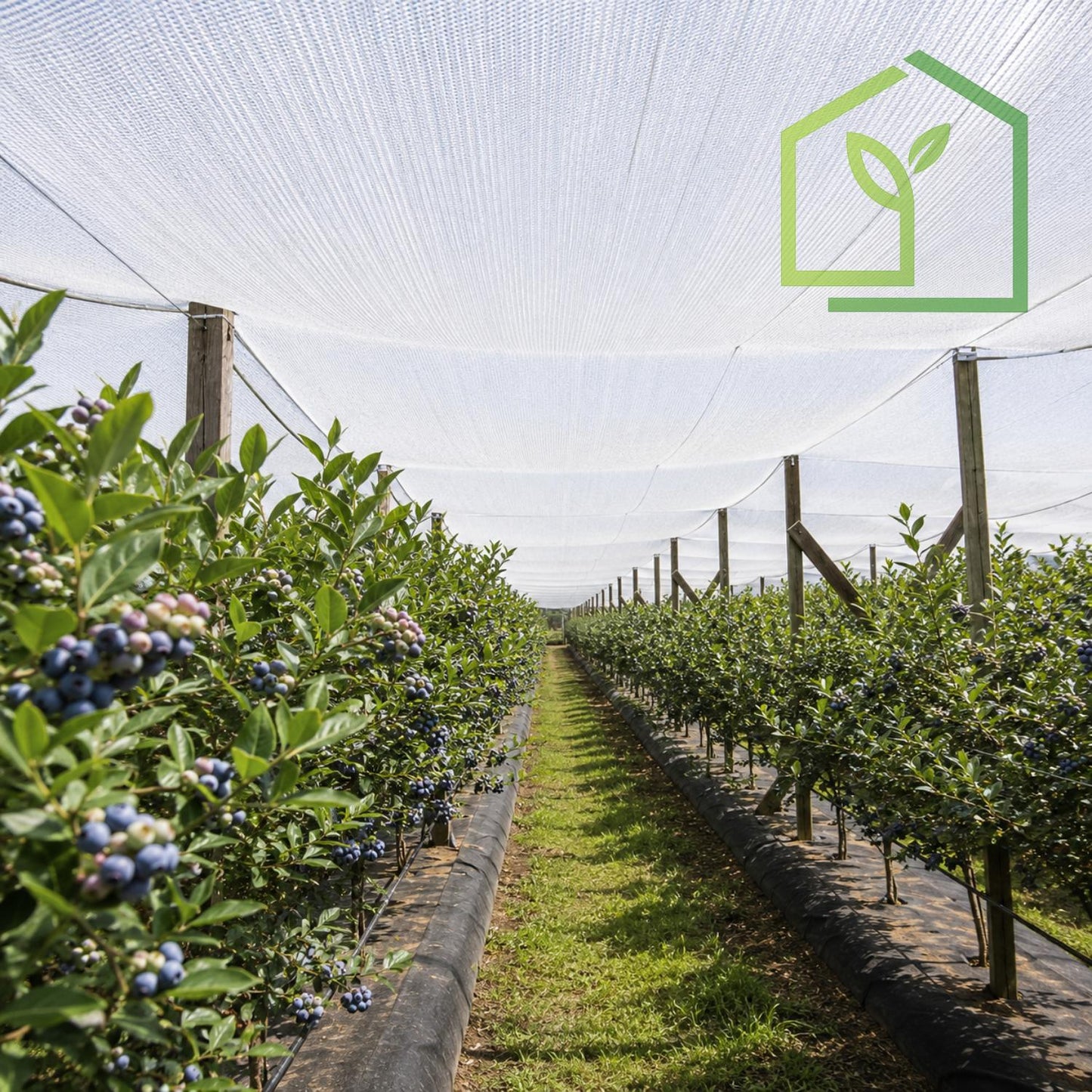 Malla Raschel 80% Filtro Sombra- Blanca - 2,1x100m-Mallas Raschel-HBTA10-Garden Market