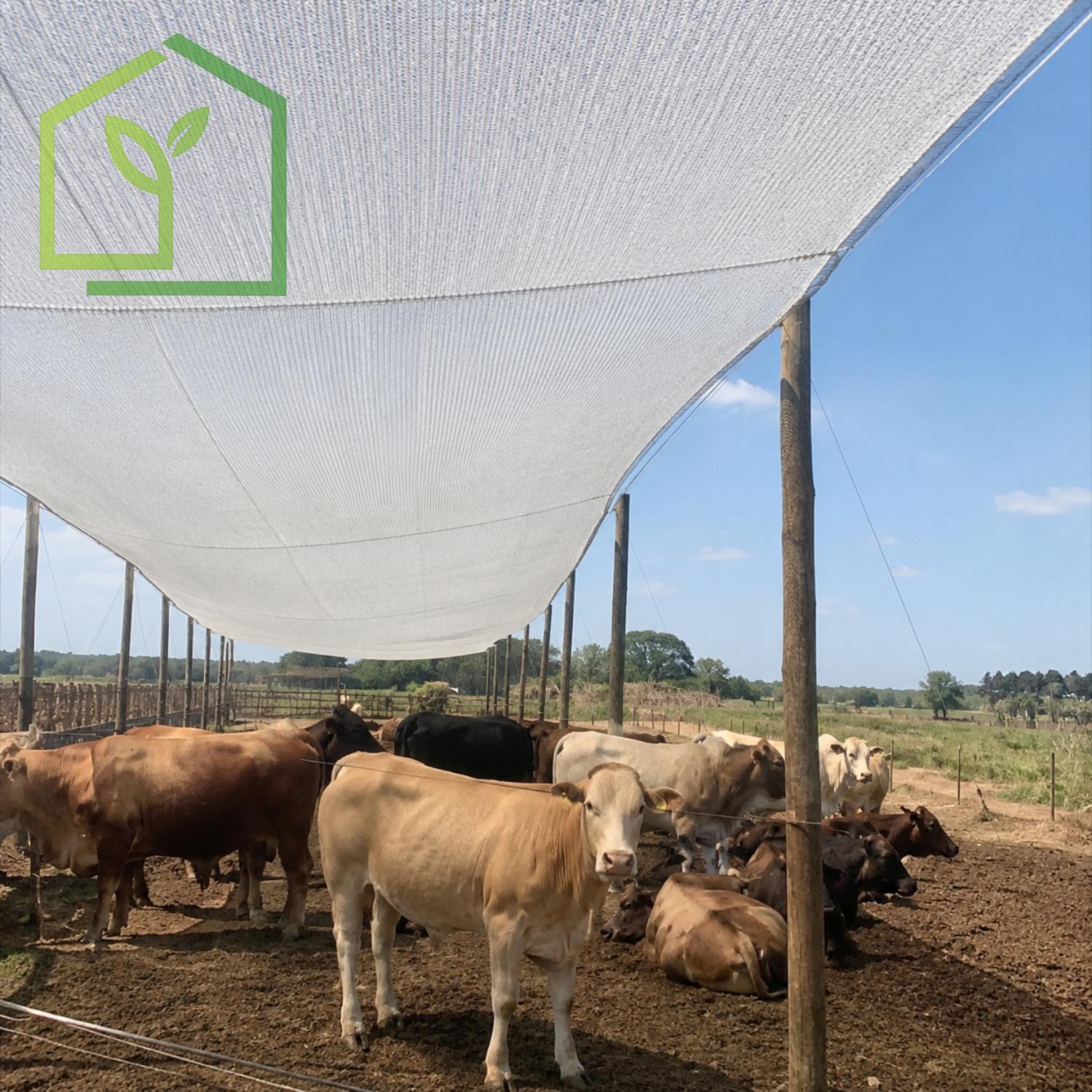 Malla Raschel 80% Filtro Sombra- Blanca - 2,1x100m-Mallas Raschel-HBTA10-Garden Market