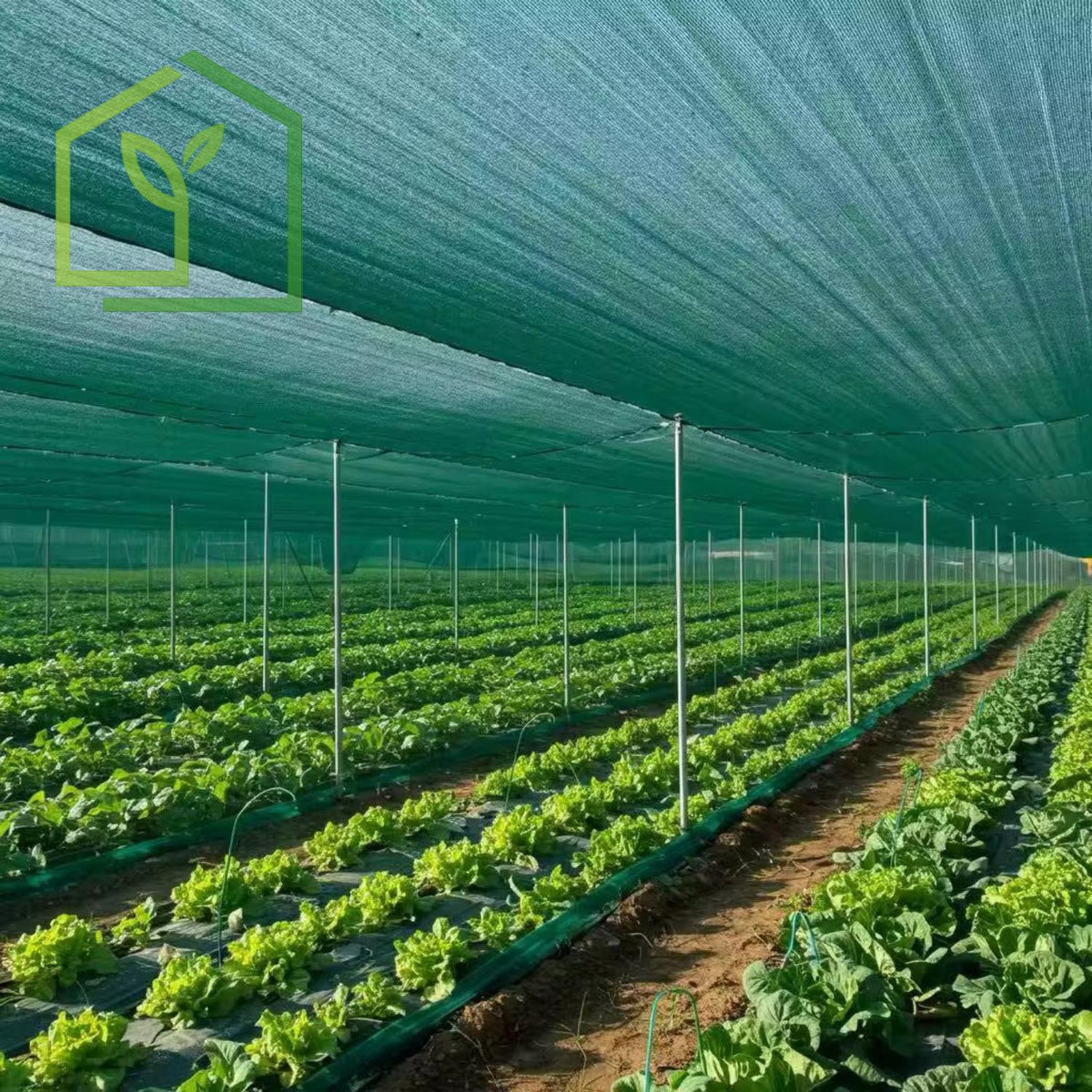 Malla Raschel 80% sombra, Verde - 2,1x50m-Mallas Raschel-HBTA14-Garden Market