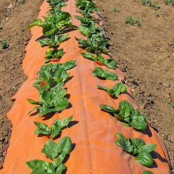 Mulch Naranjo con UV Rollo 1,4mx1000mx25um - Garden Market