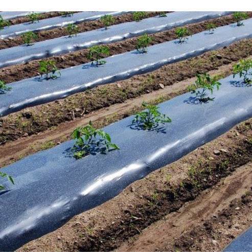 Mulch Negro con UV Rollo 1,4mx1000mx25um-Mulch Negro-HBPA21-Mulch Agricola-Garden Market