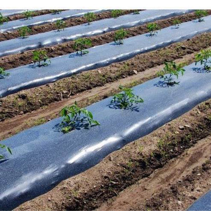 Mulch Negro con UV Rollo 1,4mx1000mx25um-Mulch Negro-HBPA21-Mulch Agricola-Garden Market